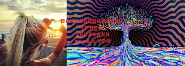 марки nbome Каменногорск