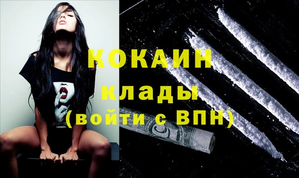 бошки Каменка