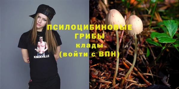 марки nbome Каменногорск