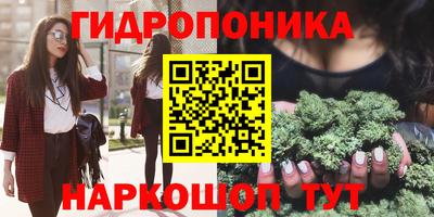 эйфоретик Кимры