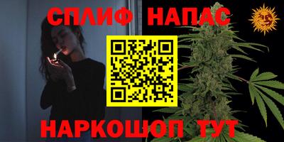 дживик Кингисепп
