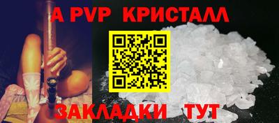 дживик Кингисепп