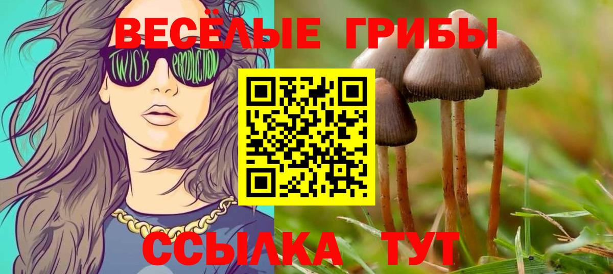 Псилоцибиновые грибы GOLDEN TEACHER  Вход с VPN  Кулебаки 